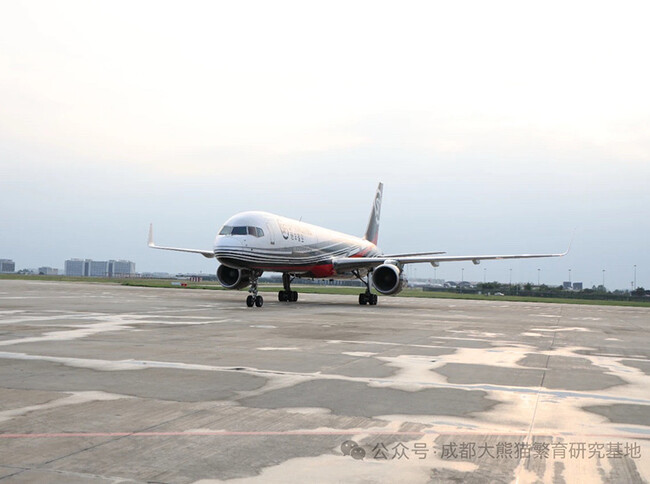 ジャイアントパンダ４頭「良浜」「結浜」「彩浜」「楓浜」が中国・成都ジャイアントパンダ繁育研究基地に到着しました！