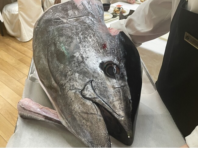 【湯の川温泉／湯元啄木亭】前回大好評で今年も開催！7/12（土）限定まぐろ解体ショーイベント実施！