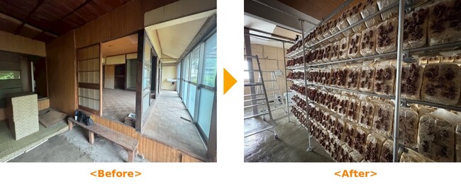 空き家をキクラゲ栽培施設に!クールコネクトがリノベーション&借上げで運用開始
