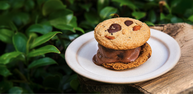日本発プラントベースアイス「yumrich」とカフェ＆ワインバー「Mary Jane」のコラボレーションメニュー「クッキーアイスサンド」が新登場