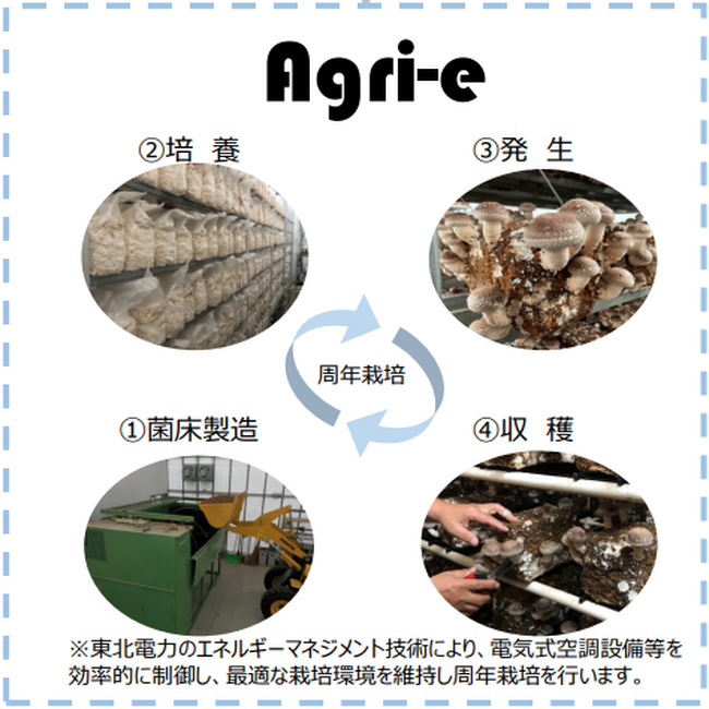 秋田県内における「菌床しいたけ生産事業」への参画について～エネルギー・ソリューションを通じ、地域ブランド力の向上に貢献～