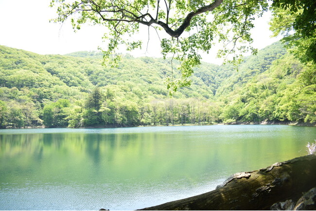 国立公園の大自然を感じ、五感で学ぶ体験ツアー開始＠北海道えりも