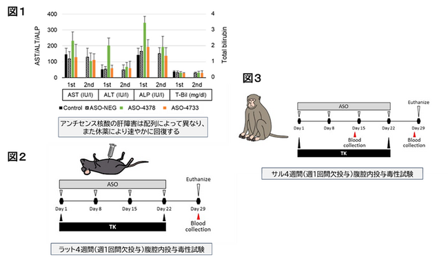腹膜播種を有する進行胃癌に対する新たな挑戦