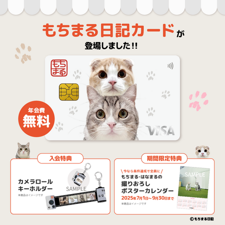 YouTubeチャンネル『もちまる日記カード』登場！