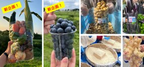 【道の駅木更津うまくたの里】土日・祝日開催の農作物詰め放題に特別新企画！野菜10種詰め放題とブルーベリー詰め放題が各2日間限定で登場！