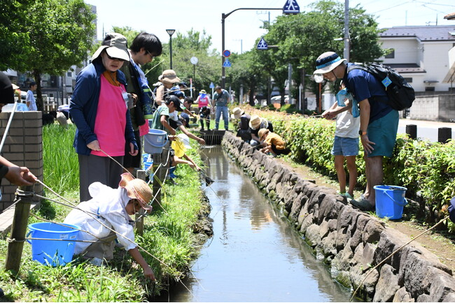 博物館前田んぼの生き物観察会を実施しました！