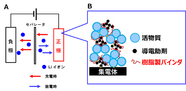 カーボンナノチューブを使ったバインダフリー電極材料を開発　寿命が2倍に向上し、急速充電・放電も実現