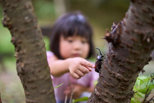 お子様の好奇心を引き出す、夏休みの特別な1日　7月26日（土）ご宿泊限定　昆虫採集ツアー付きグランピングBBQプラン「昆虫博士とカブトムシ探検隊」販売開始