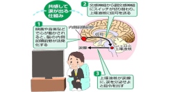 「涙活（るいかつ）」で職場のストレスケアとチームビルディング ー 感涙療法士が東京で研修実施へ