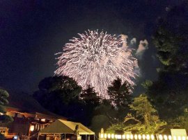 お盆の夜空を彩る慰霊花火1 お盆の夜空を彩る慰霊花火1