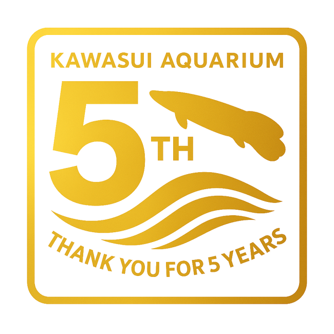 カワスイ 川崎水族館 開業5周年記念!