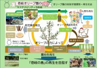 壱岐の自然とともに歩むオリーブ園──循環と再生を軸とした持続可能なものづくり