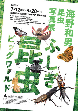 自然が見せる“昆虫の小宇宙”──海野和男昆虫写真展が金津創作の森で初開催！