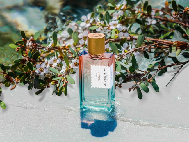 ニッチフレグランス専門店「NOSE SHOP」から「Goldfield & Banks」「Nishane」が、夏の香水の祭典「香水夏市 curated by ISETAN MEN'S」に出店！