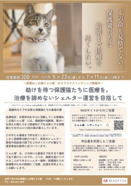 チラシ画像