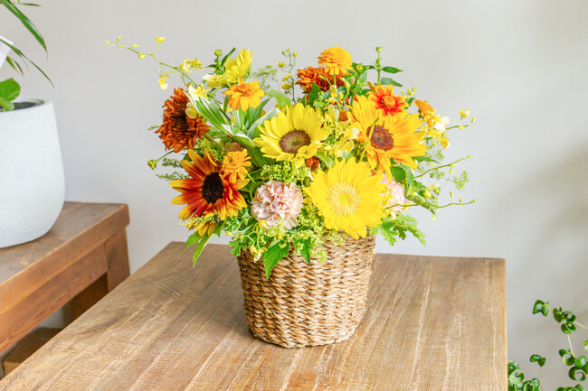 【Flower&Plants tette】板橋駅近のフラワーショップで夏休みの思い出を！ひまわりと苔玉の親子レッスン開催