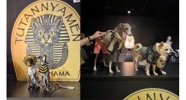 ペットと一緒に鑑賞できる、ツタン“ニャー”メン&ツタン“ワン”メンデーふたたび！7/21(月•祝)開催