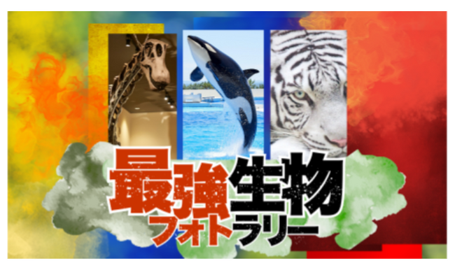 兵庫県のレジャー施設とSAが連携して「最強生物フォトラリー」を開催します!