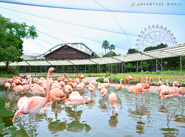 鳥たちの自然育雛に挑む、新たないのちの舞台。“共生”がテーマの「BIRDTOPE（バードトープ）」