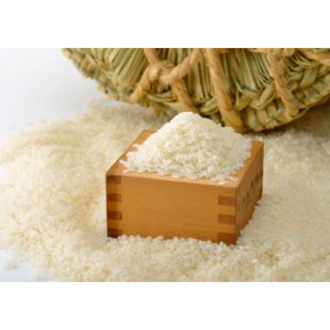 米価高騰とトランプ関税で注目が集まる“日本の米（コメ）”―競争力のある米製品と、企業の生の声を取材できる展示会を開催