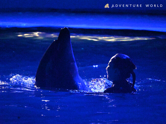 『NIGHT ADVENTURE ２０２５』７月２５日（金）～８月２４日（日）午後８時まで夜間特別営業を開催！