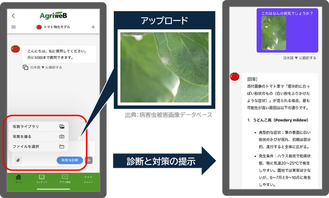 【試験導入】JAレーク滋賀、AI活用で営農指導力を強化。指導員不足解消へ