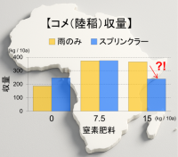 【東京農業大学（共同研究）】サブ・サハラアフリカのコメ生産技術を改善！！～「肥料×灌漑＝増収」の常識を覆す新たな発見～