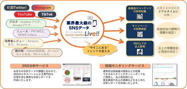 TOPPAN、クチコミ分析サービス「Social Media Live!!」をリニューアル