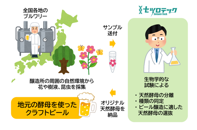 醸（かも）すやつらが変わるかも！ 自然環境からの「ビール酵母スクリーニングサービス」を新発売