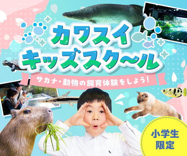 【日本唯一*の水族館直営スクール】小学生向け「体験学習型キッズスクール」を夏休みに開催！
