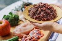 HUGBOX、犬猫の“本来の食事”を科学で育むプロジェクトを藤田医科大学発ベンチャー バイオシスラボと始動