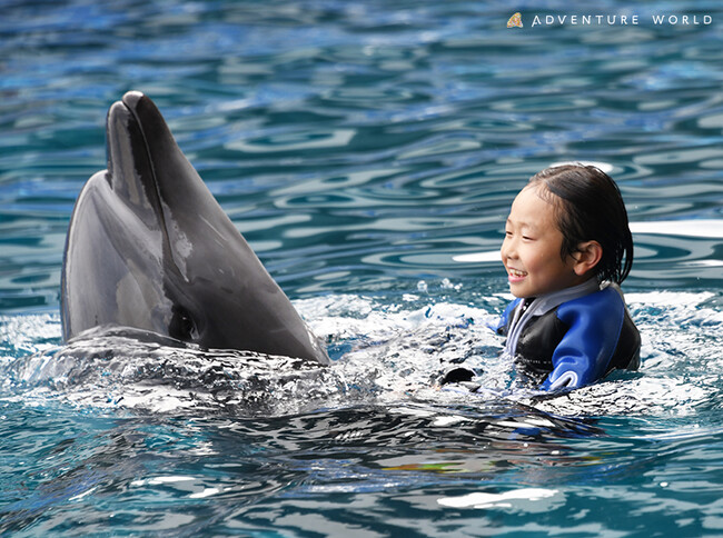 夏限定開催　イルカと泳ごう！『Swimming with Dolphin～Deep emotion～』開催のお知らせ