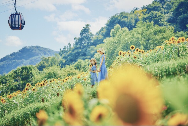 「きっと忘れない夏GARDEN FEST 2025-Summer-」がスタート。神戸布引ハーブ園が夏のリゾートに様変わり。昼はいっぱい遊んで、夜は「夜景×イルミネーション」の空間で、丸一日過ごせます！