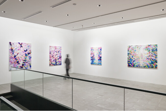 塚本智也 個展「Journey of Encounters」をGallery & Bakery Tokyo ８分で2025年7月5日(土)からスタート