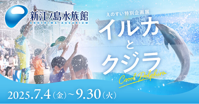 普段とはひと味違うCooolな”えのすい”が楽しめる えのすい特別企画展「イルカとクジラ Coool Dolphin」【特典付き前売り券 好評発売中】