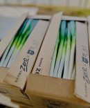 箱詰めされた新鮮な「雪の女王」 箱詰めされた新鮮な「雪の女王」