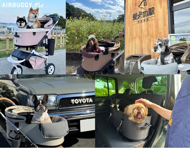 愛犬との旅行に役立つ！旅の主役は“移動時間”だった。ペットとのロングドライブに必要な5つのこと