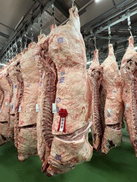 優秀賞を獲得した岩手パイオニア牧場の出品牛 優秀賞を獲得した岩手パイオニア牧場の出品牛