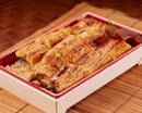 うな重「寿」 うな重「寿」