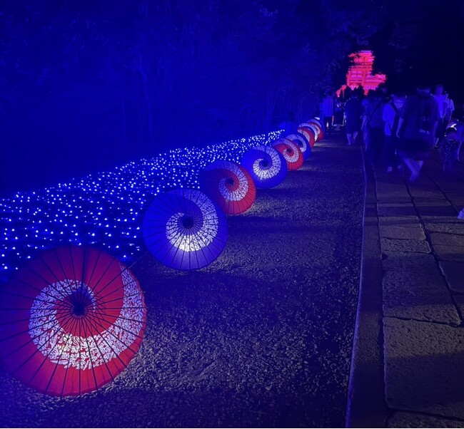 【埼玉・武蔵一宮氷川神社】和傘110本とLED2.5万個で光の回廊　国内外で反響の3日間