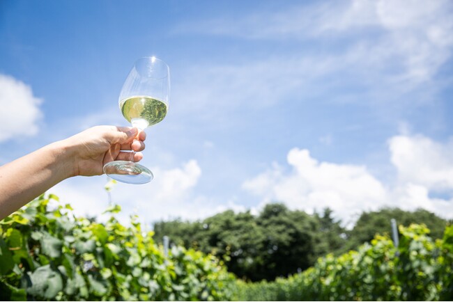 【長野県東御市】～育種・栽培から日本ワインの未来を考える～JVA品種評価プログラム検討会（長野）in東御