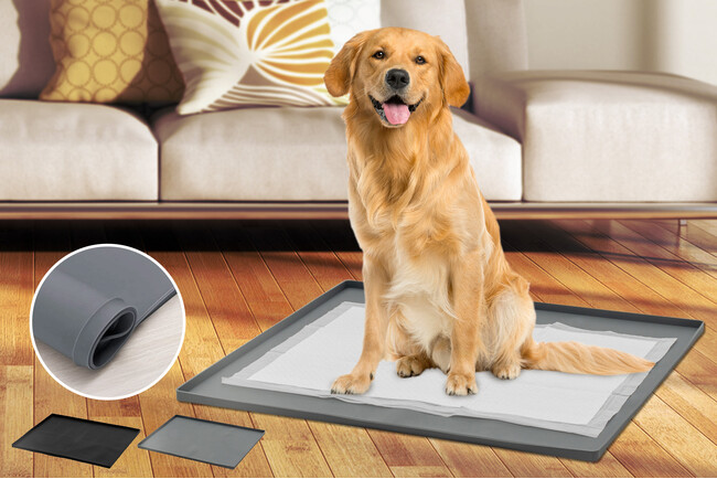 【ペットの“トイレ悩み“に新提案!】丸洗いOK・ズレにくい・丸めて収納可能。食品グレードのやさしい素材を使用した『シリコントイレトレー』が予約販売スタート!今ならお得な30％OFFクーポン配布中!