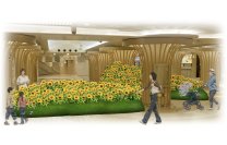 なんばウォーク夏の風物詩　本物のひまわり1万本が咲き誇る「ひまわりパーク」が7月17日スタート