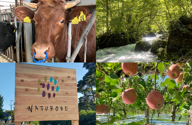 株式会社Dooox、青森県十和田市に新拠点を開設。リジェネラティブ農業の聖地で地域共創プロジェクト「特命街盛PJ」を本格始動