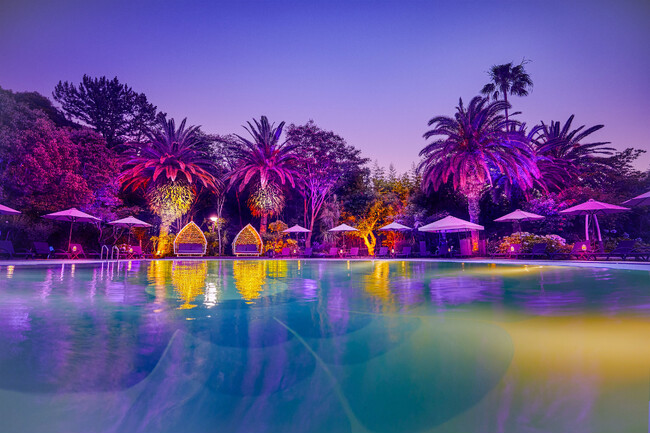 都心から30分の“大人の遊び場”ピンクナイトプールが今年もオープン!