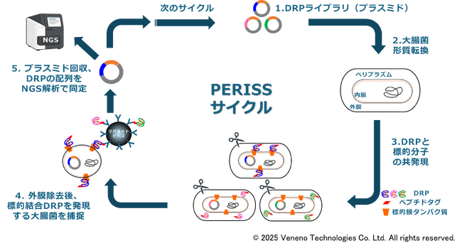 Veneno Technologies・アルファフュージョン・田辺三菱製薬が共同研究を開始