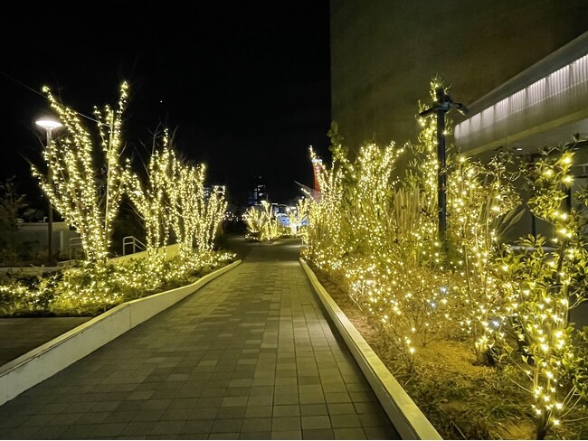 アトアで過ごす夏、もっと遊べる。営業時間を特別に延長！