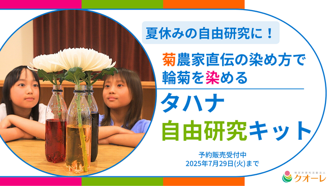 “夏休みの自由研究に！” 菊農家直伝の染め方で輪菊を染める「タハナ自由研究キット」