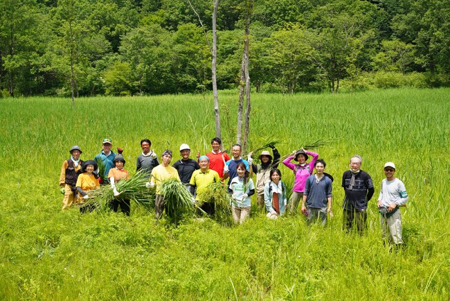 【岐阜県飛騨市】地域住民×ボランティア×企業の力で、池ヶ原湿原の厄介者「ヨシ」刈り取り作業。ヨシを活用した商品化とファン獲得を目指して！