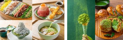 【リリース第2弾】「道の駅そらっと牧之原」7/18(金)12時グランドオープン　牧之原の茶畑そばに、茶白湯ラーメン、茶ル茶ルチキン！？お茶グルメや土産品が勢揃い！ソフトクリーム、クレープの抹茶スイーツ、抹茶あんぱんや生ドーナツのベーカリーも登場！！